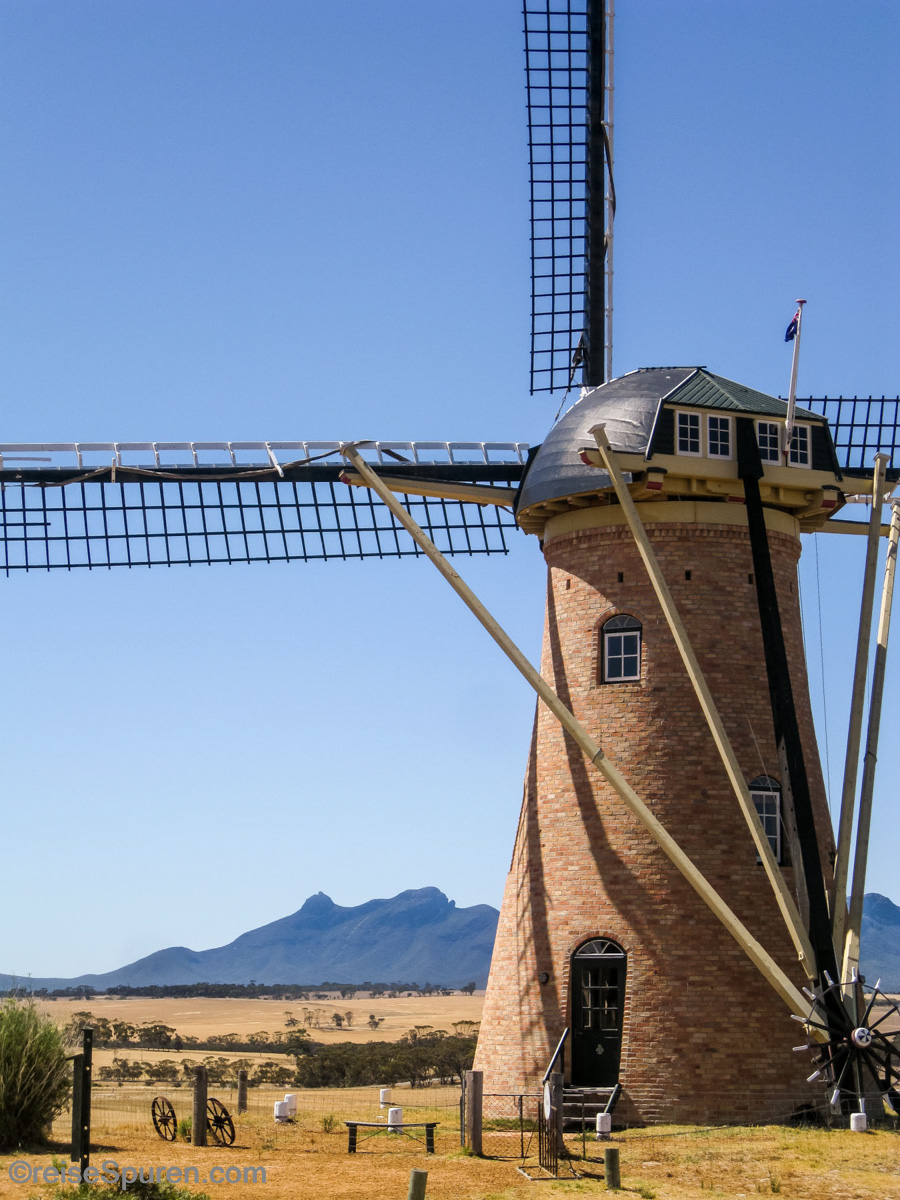 The Lily Dutch Windmill
