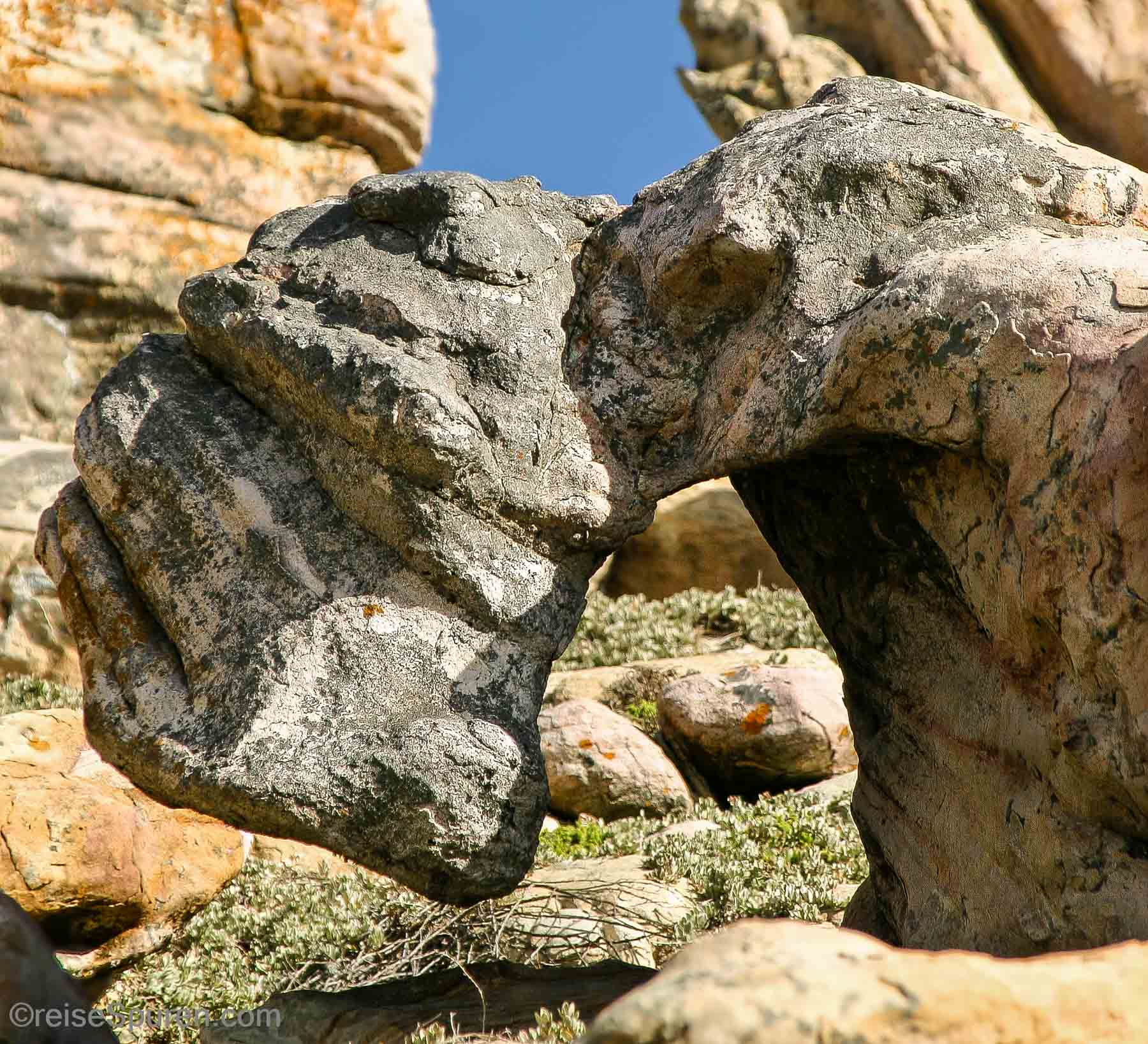 Felsformation am Kap der Guten Hoffnung