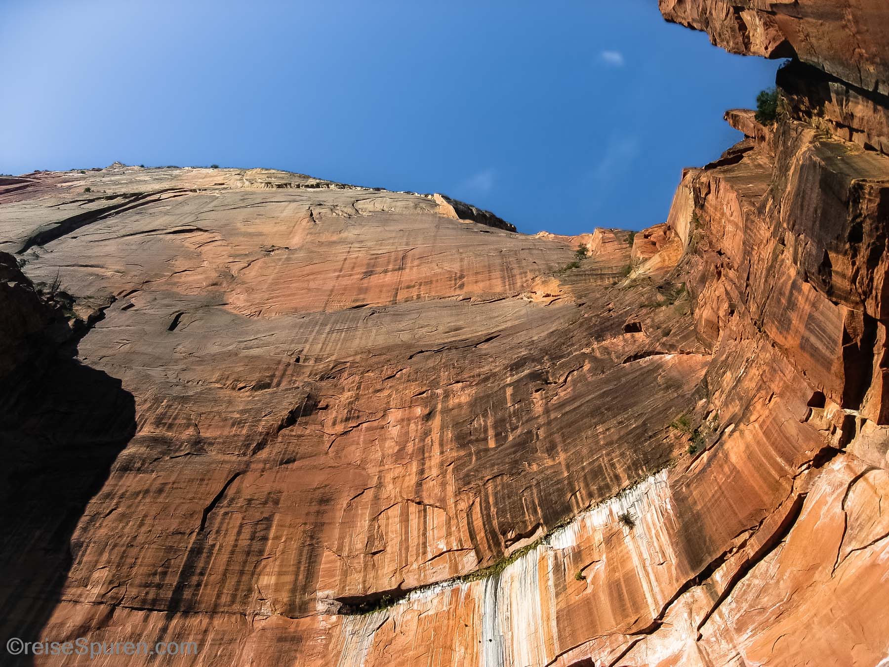 Zion NP